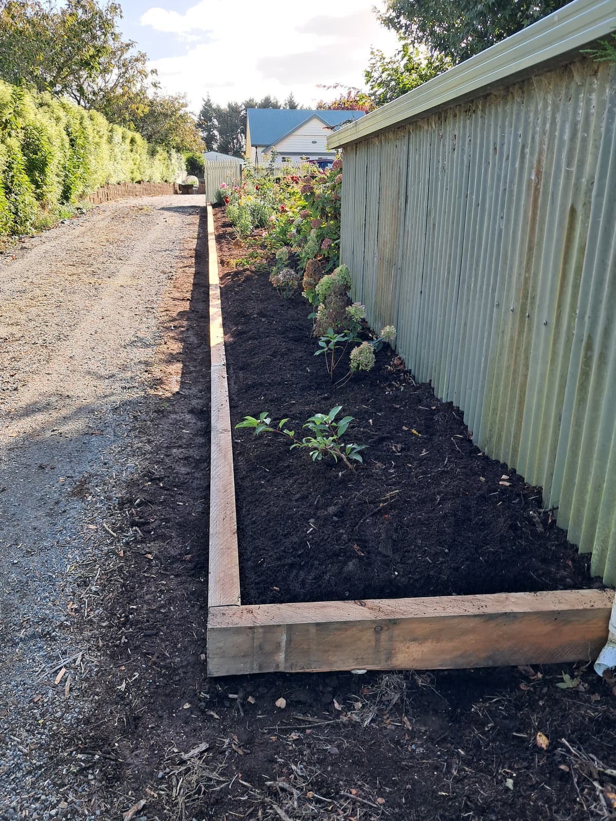 Timber-edged bed along fence