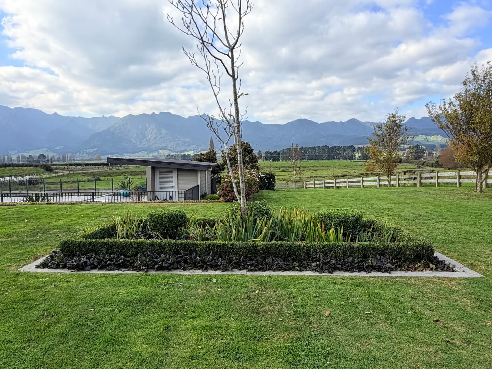 Planted garden bed with Kaimai Range backdrop