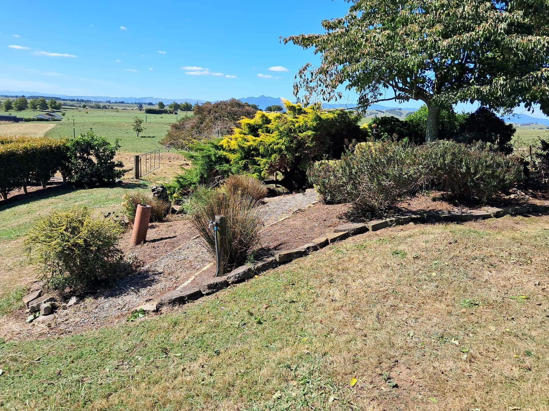 Boulders and shrubs, rural garden, Kaimai view (4080px)