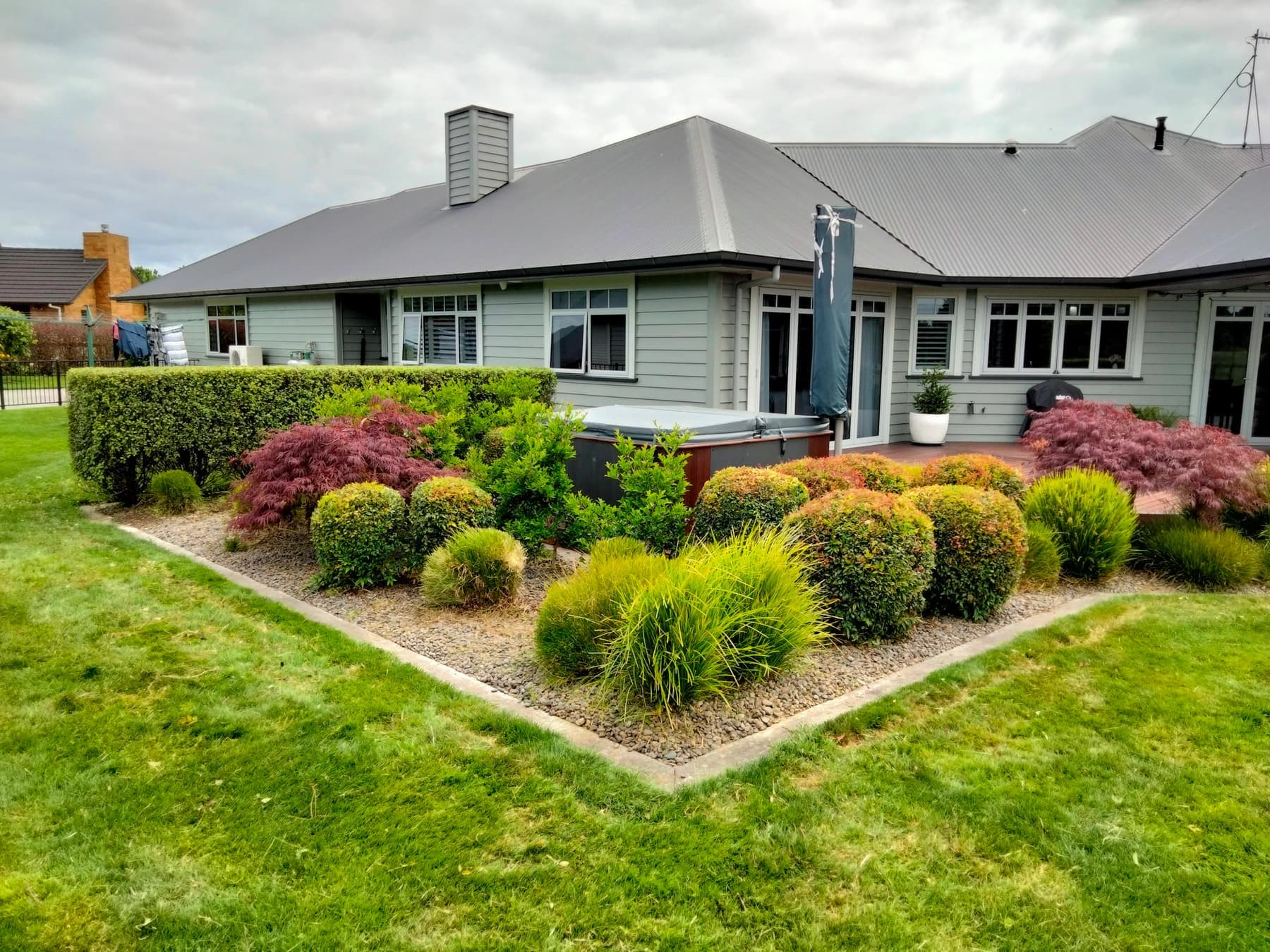 Lifestyle home garden: maples, grasses, hedge