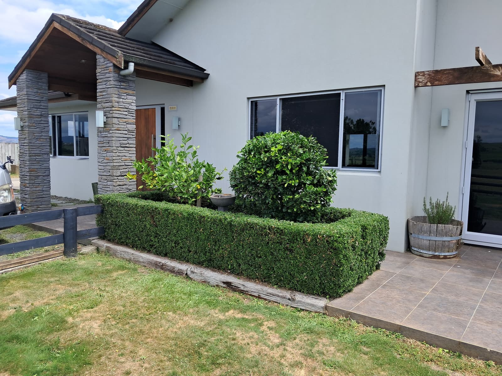 Modern house entry with buxus hedge and topiary