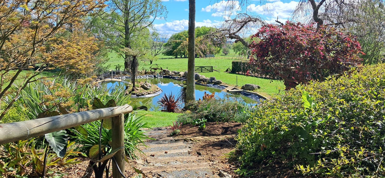 Garden steps leading down to a pond