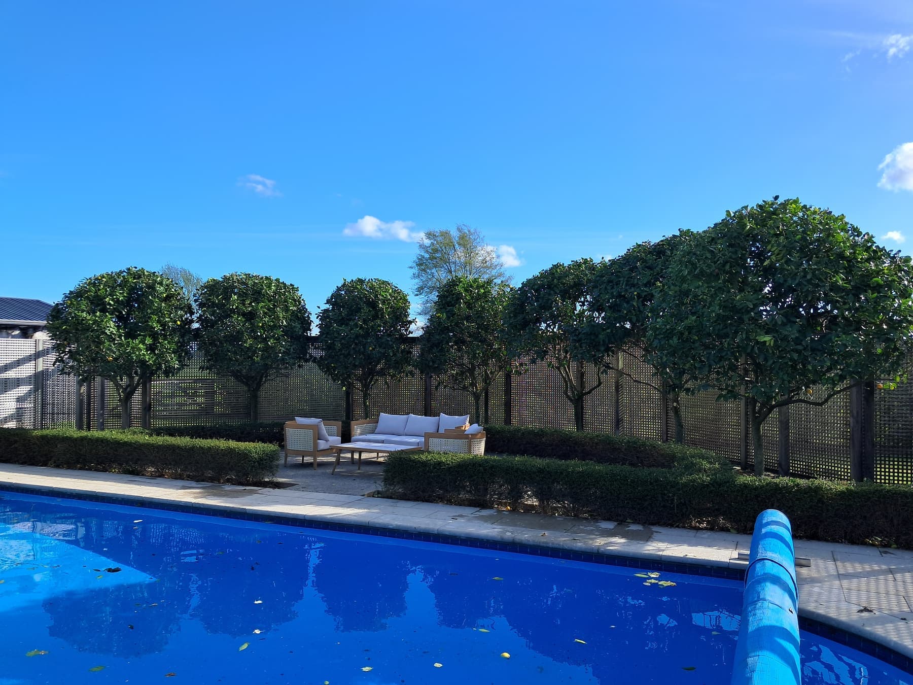 Pool garden: pleached trees, buxus hedges, lounge