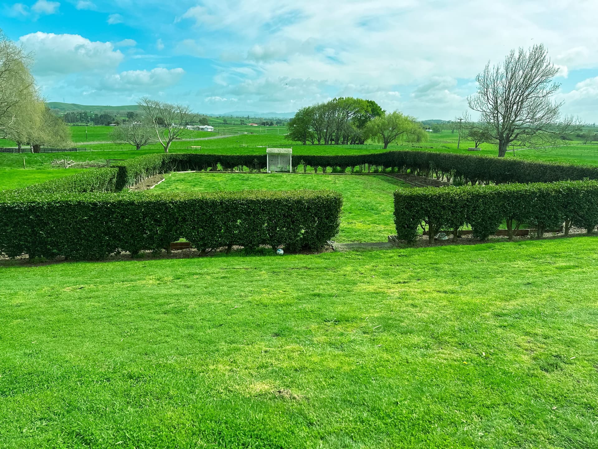 Formal clipped hedges on rural estate, lush lawn