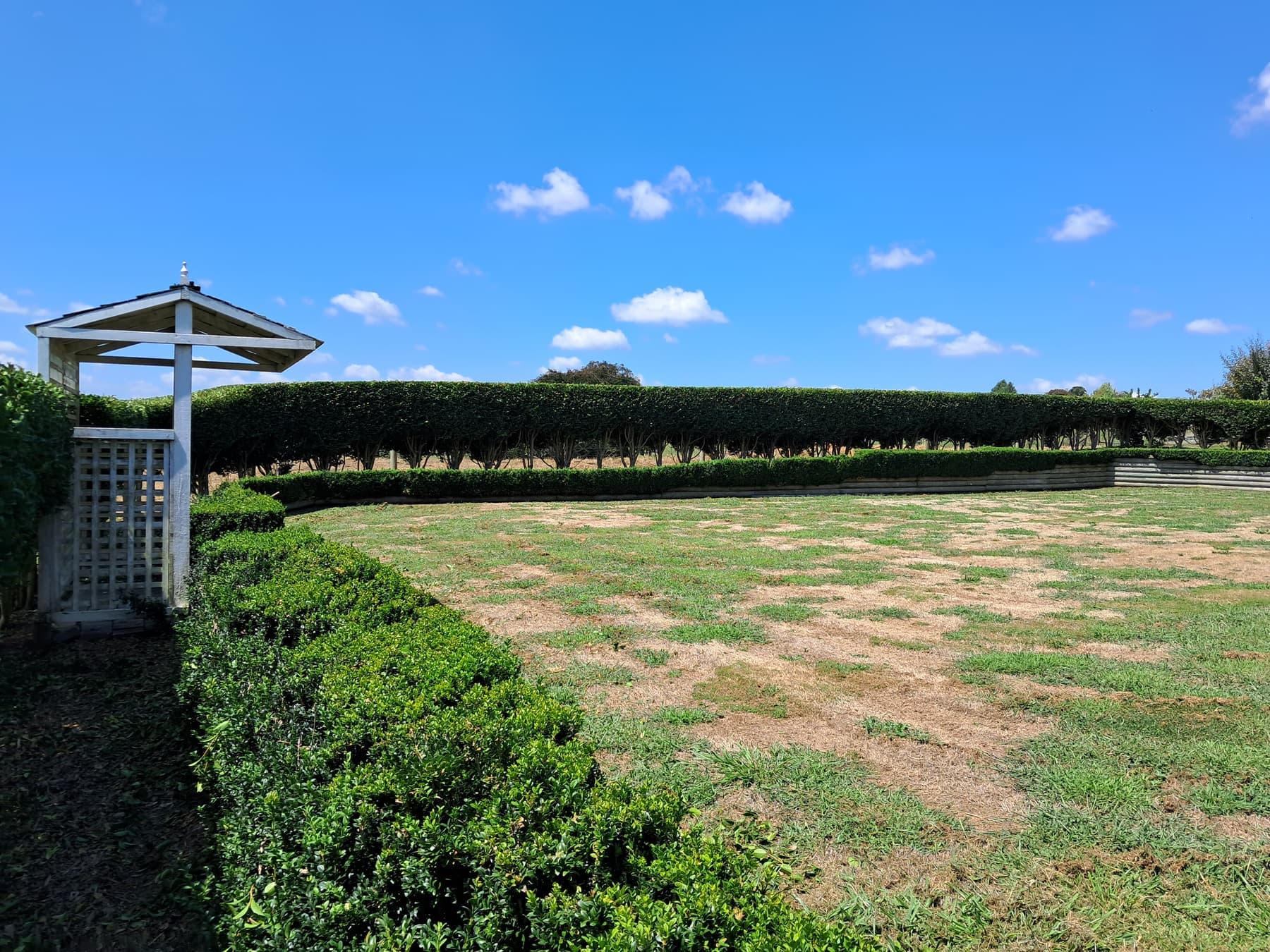 Formal hedge enclosure around lawn, rural estate