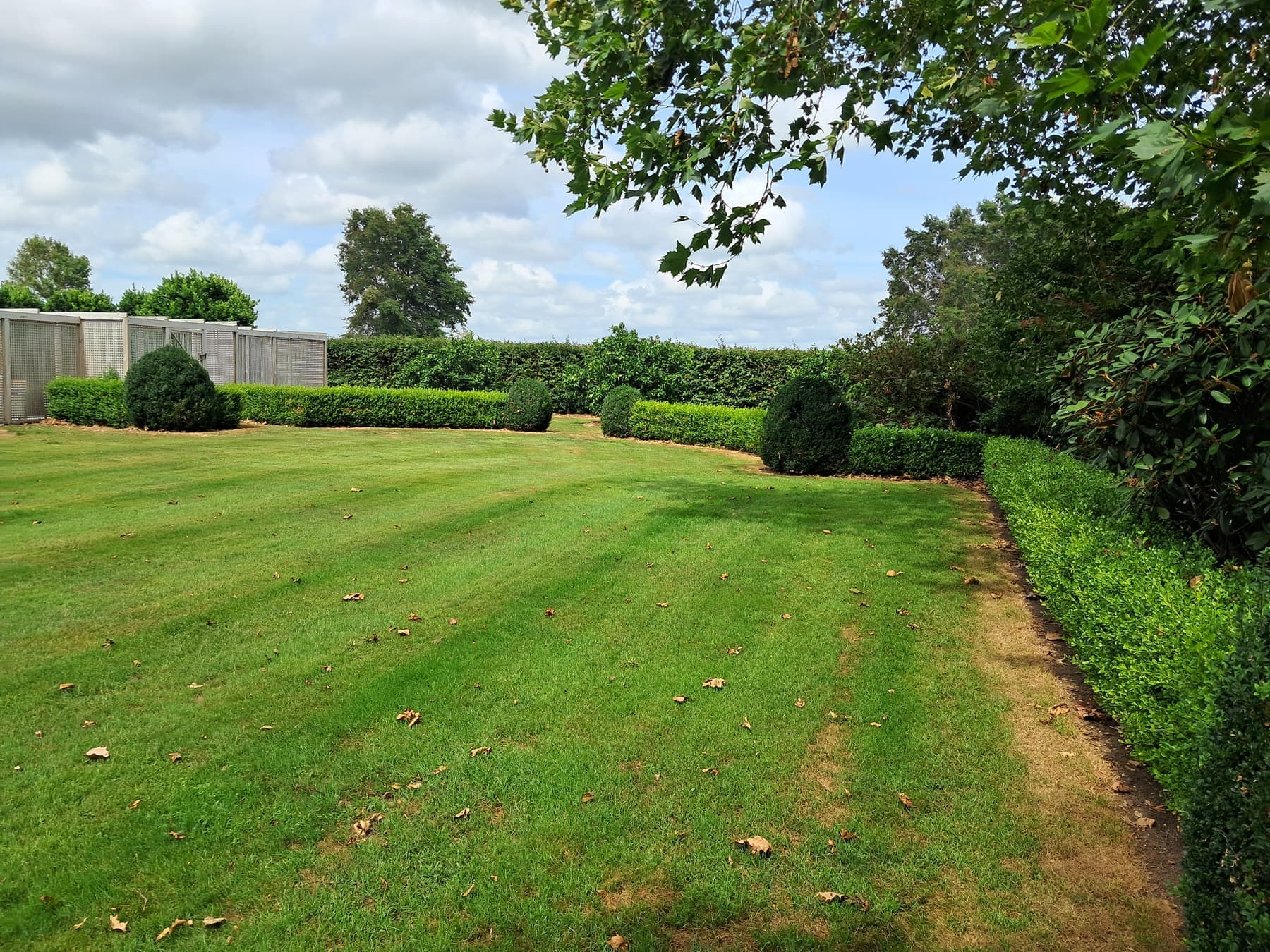 Large striped lawn at country homestead