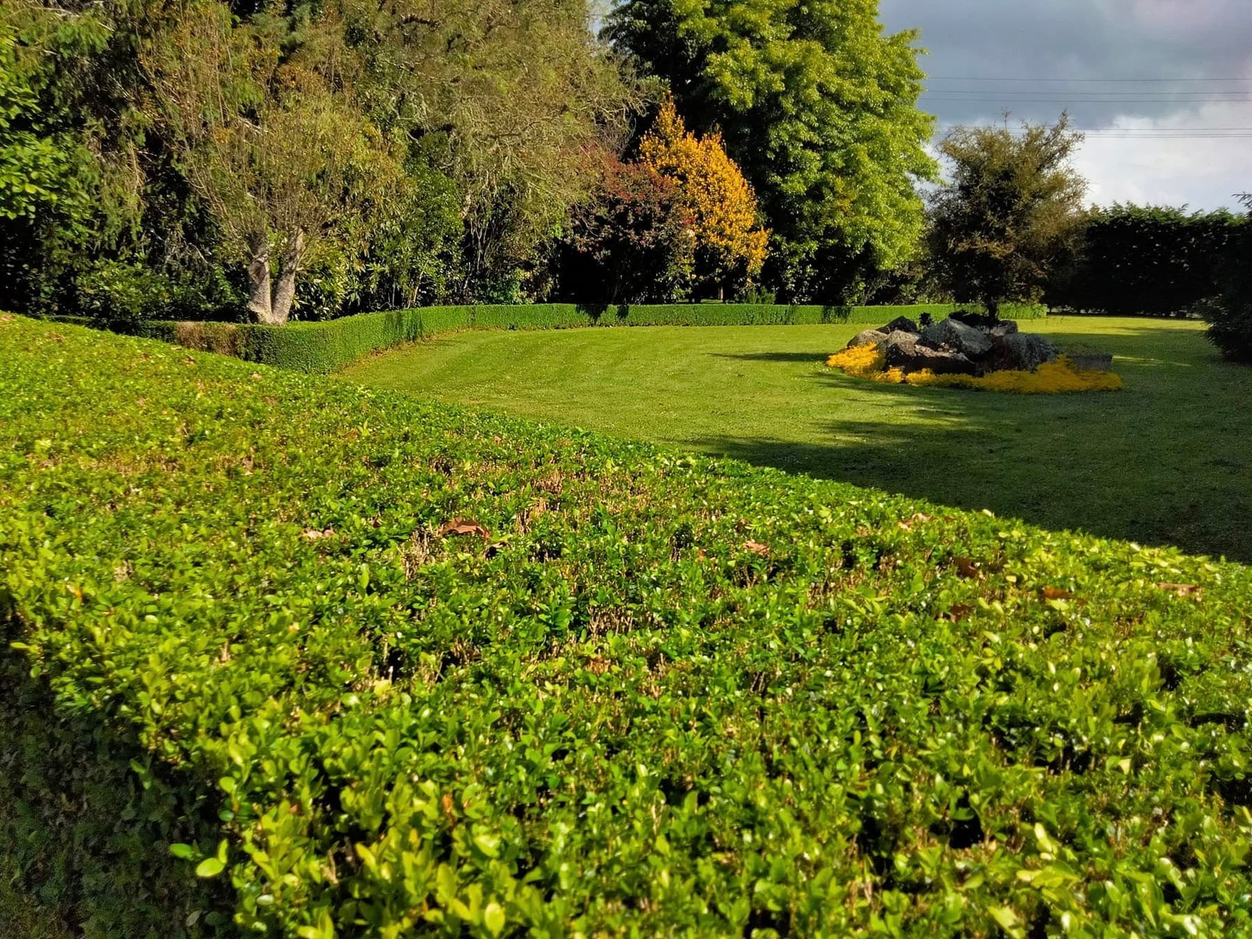 Lush estate lawn with hedge