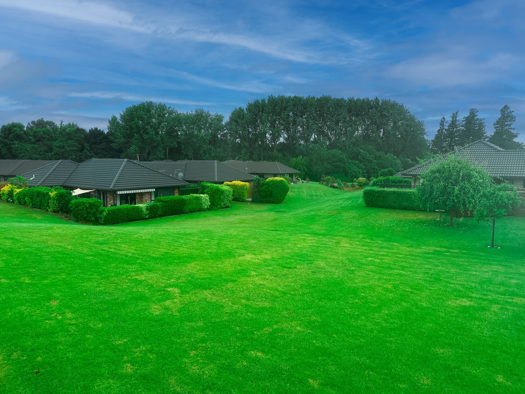 Large village lawn, trees, blue sky