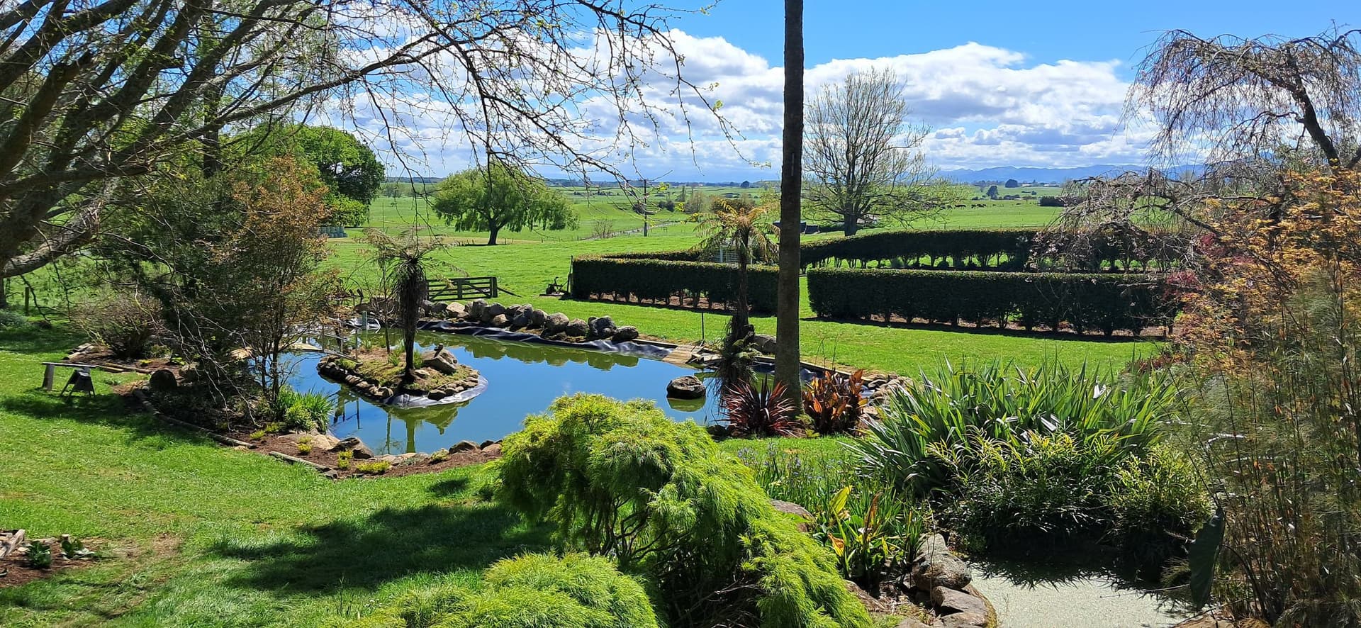 Lifestyle garden with pond, hedges and farmland view