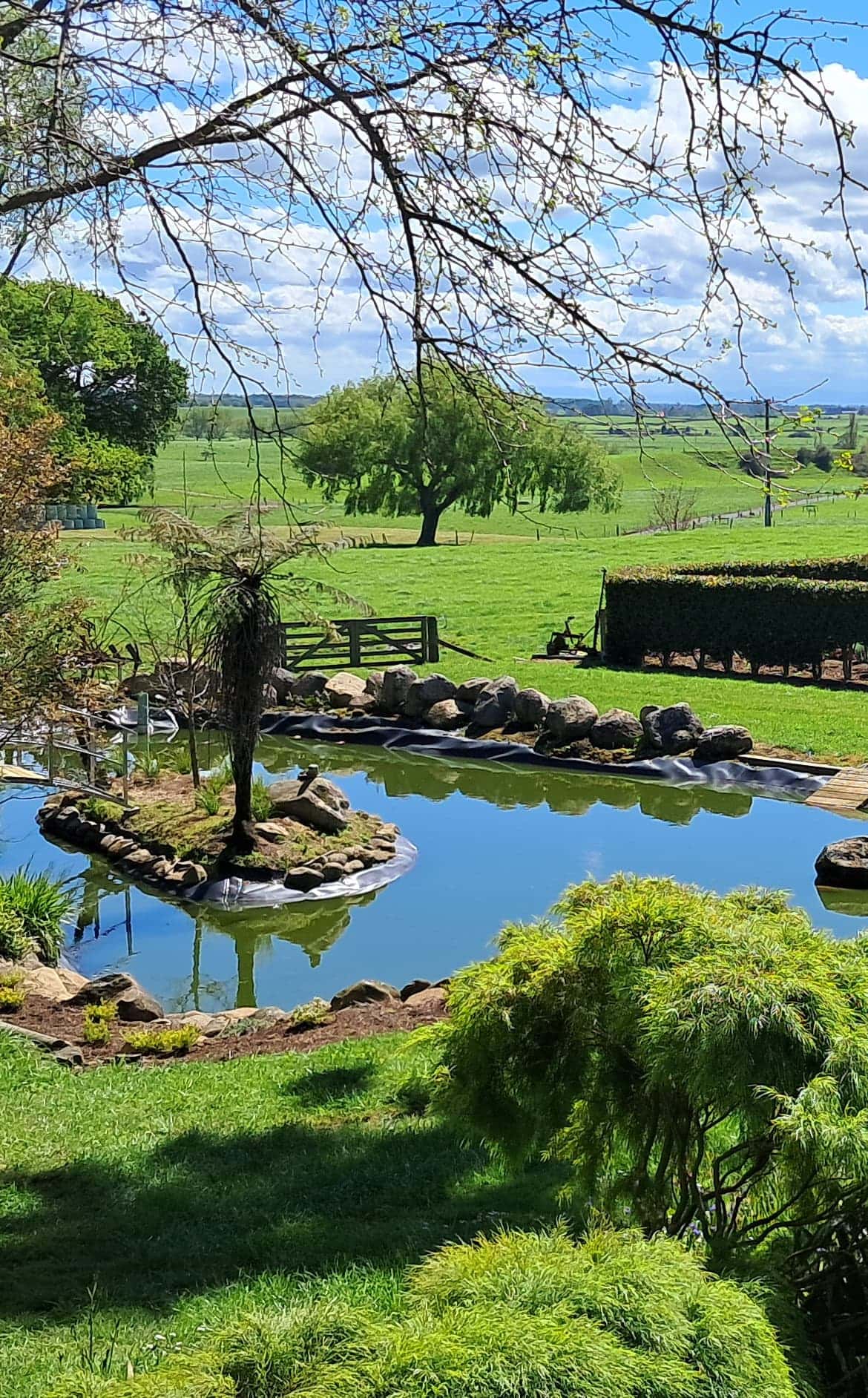 Lifestyle garden with a pond, clipped hedges and farmland views in the Waikato