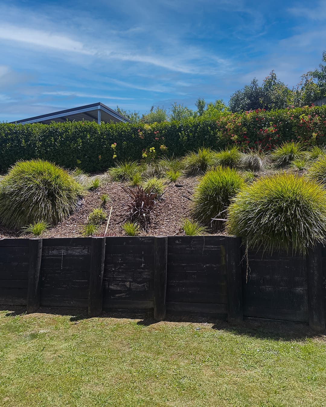 Native grasses above black timber retaining