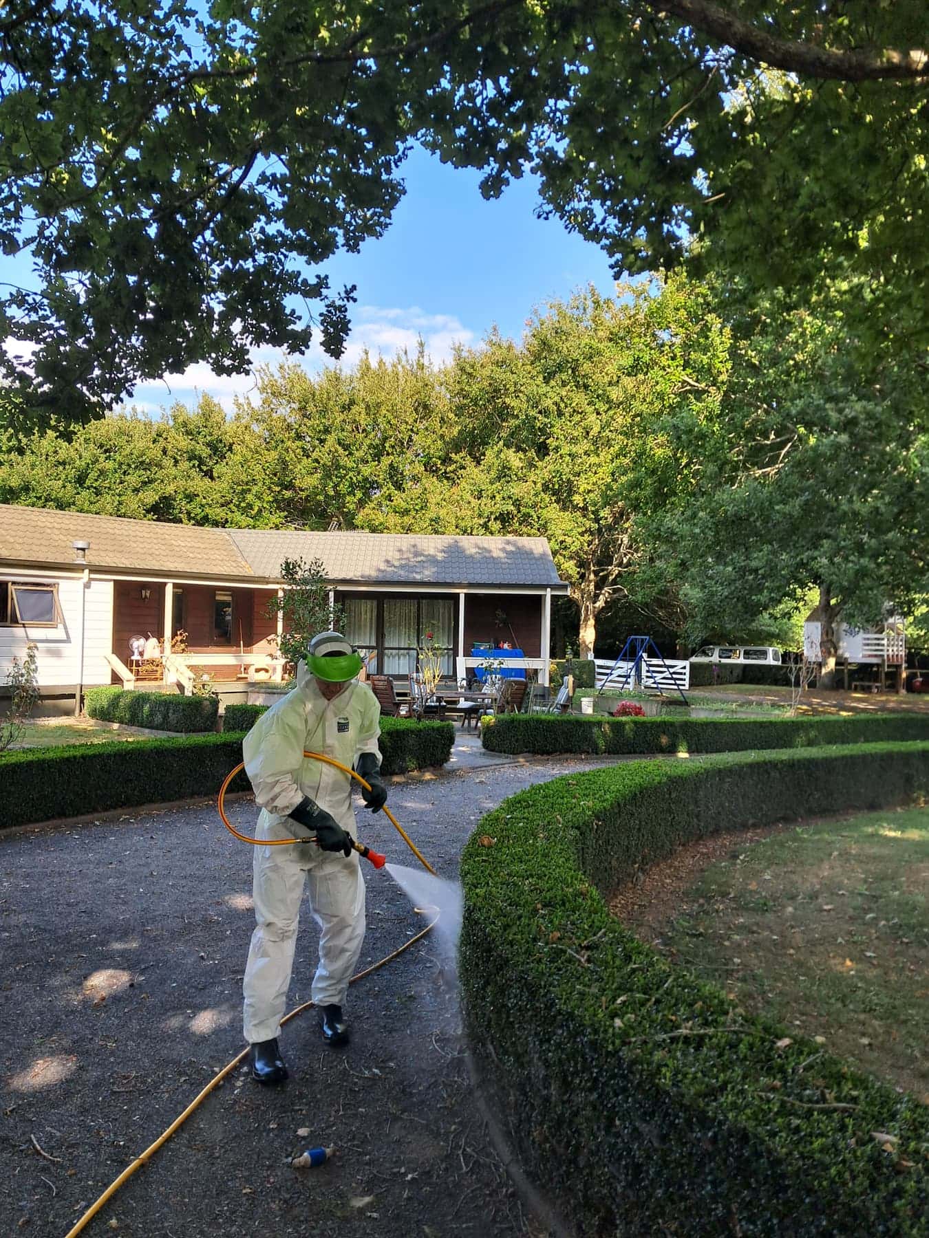 Team member in PPE spraying beside buxus hedge